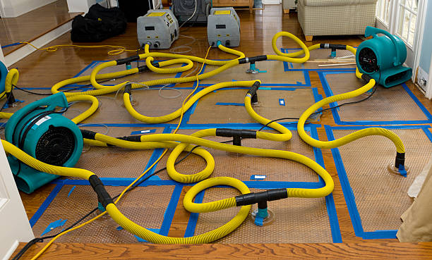 Professional Storm Water Damage Restoration technician working in Zanesfield, OH