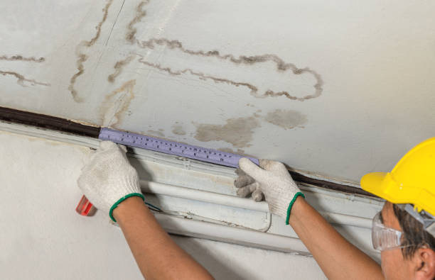Affordable Water Damage Repair solutions in Zanesfield, OH
